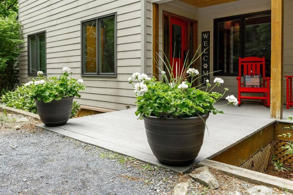 Bluebird Mountain Home Mount Torry Furnace Exterior foto