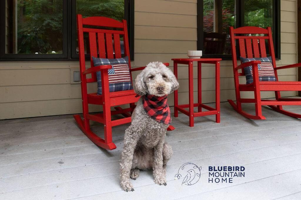 Bluebird Mountain Home Mount Torry Furnace Exterior foto